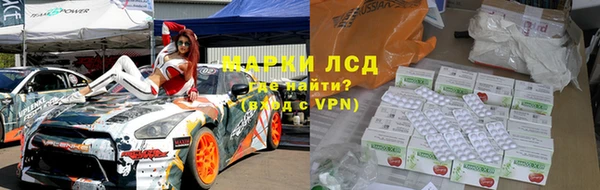 прущие грибы Семикаракорск