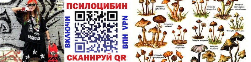 Галлюциногенные грибы MAGIC MUSHROOMS Городовиковск